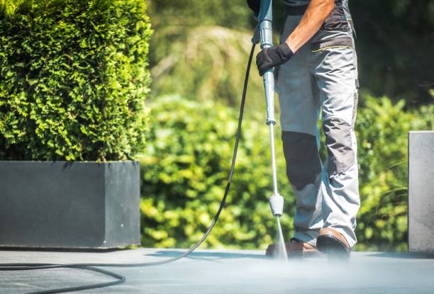 Best Graffiti Removal  in Lochearn, MD