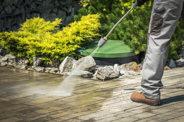 Best Boat and Dock Cleaning  in Lochearn, MD