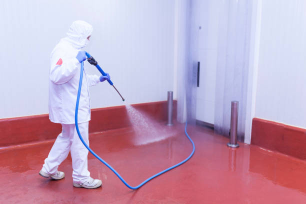 Reliable Lochearn, MD Pressure Washing Services Solutions