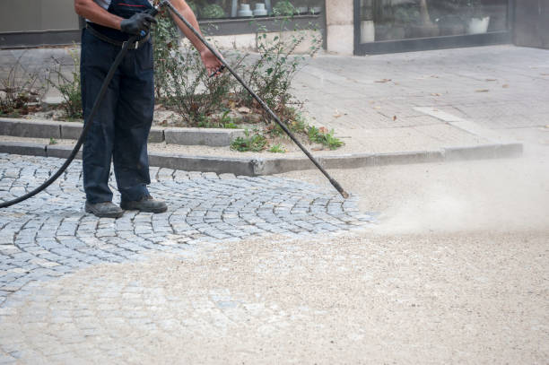 Best Patio and Deck Pressure Washing  in Lochearn, MD