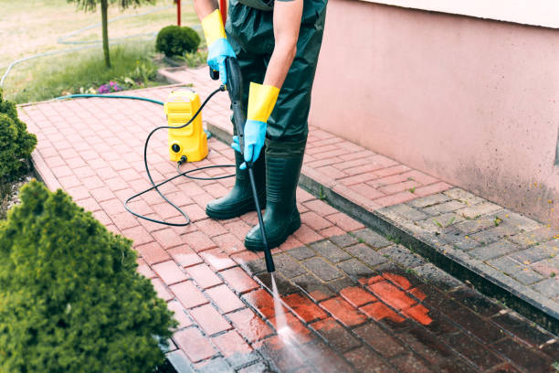 Best House Exterior Washing  in Lochearn, MD