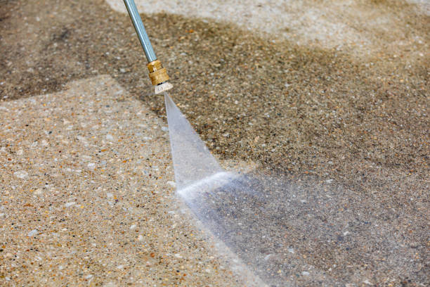 Animal Enclosure Cleaning in Lochearn, MD